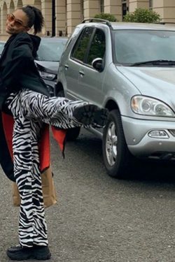 Coquette Aesthetic Cargo Skirt: Your Inner Wild Zebra Print Pants