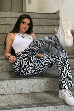 Coquette Aesthetic Cargo Skirt: Your Inner Wild Zebra Print Pants
