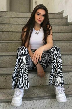 Coquette Aesthetic Cargo Skirt: Your Inner Wild Zebra Print Pants