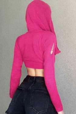 Coquette Aesthetic Distressed Hooded Knit Crop Top
