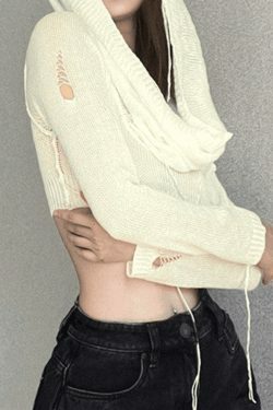 Coquette Aesthetic Distressed Hooded Knit Crop Top