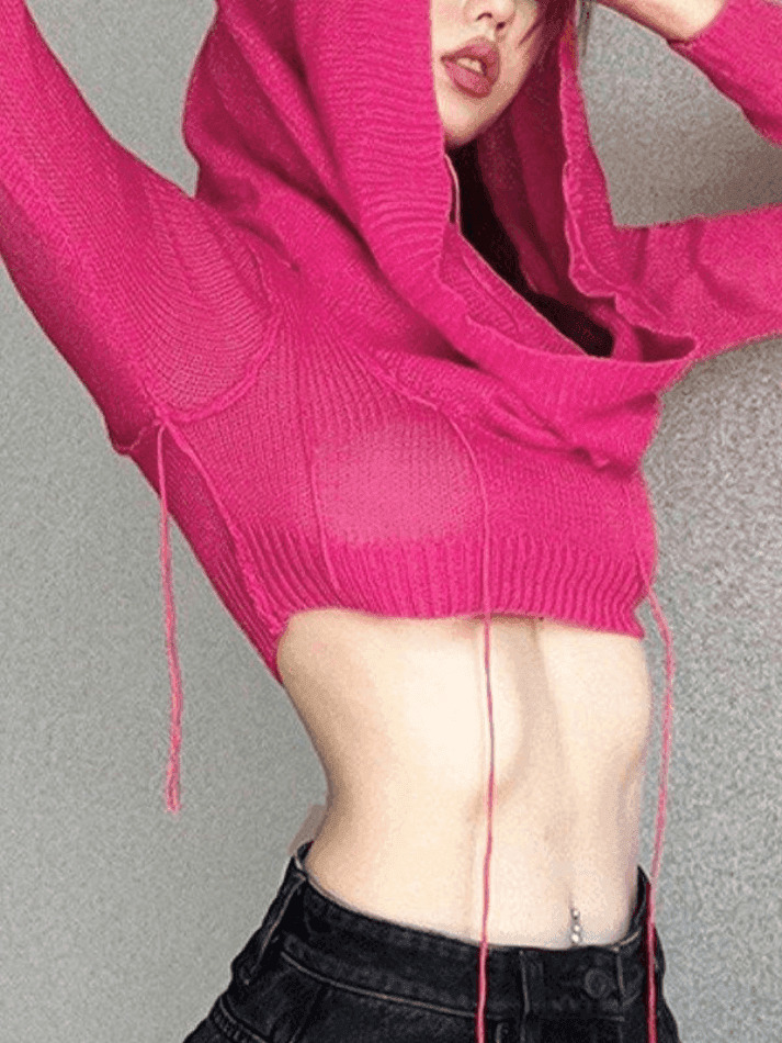Coquette Aesthetic Distressed Hooded Knit Crop Top Coquette Aesthetic Distressed Hooded Knit Crop Top