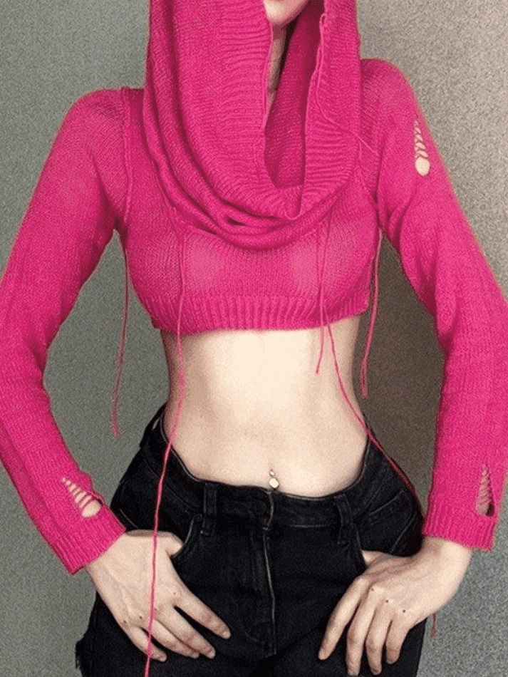 Coquette Aesthetic Distressed Hooded Knit Crop Top Coquette Aesthetic Distressed Hooded Knit Crop Top