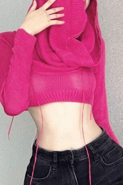 Coquette Aesthetic Distressed Hooded Knit Crop Top