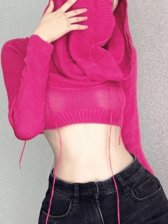 Coquette Aesthetic Distressed Hooded Knit Crop Top Coquette Aesthetic Distressed Hooded Knit Crop Top