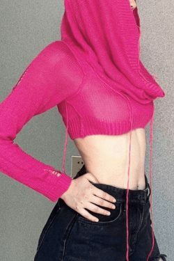 Coquette Aesthetic Distressed Hooded Knit Crop Top