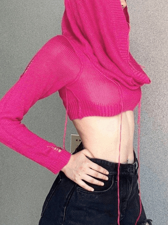 Coquette Aesthetic Distressed Hooded Knit Crop Top Coquette Aesthetic Distressed Hooded Knit Crop Top