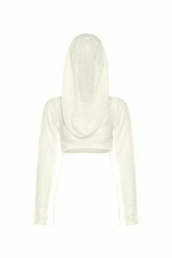 Coquette Aesthetic Distressed Hooded Knit Crop Top