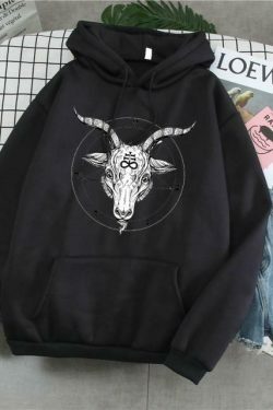 Coquette Aesthetic Hawkins Hoodie: Y2K Fashion with Grunge Style, Cute Tops, and Pastel Goth Vibes