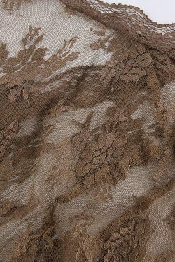 Coquette Aesthetic Lace Crop Blouse: Y2K Fashion, Grunge Style, Cute Tops & Pastel Goth