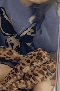 Coquette Aesthetic Oversized Butterfly Jacquard Sweater