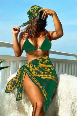 Coquette Aesthetic Retro Printed Mesh Three-Piece Bikini Set