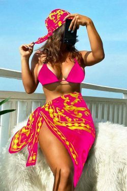 Coquette Aesthetic Retro Printed Mesh Three-Piece Bikini Set
