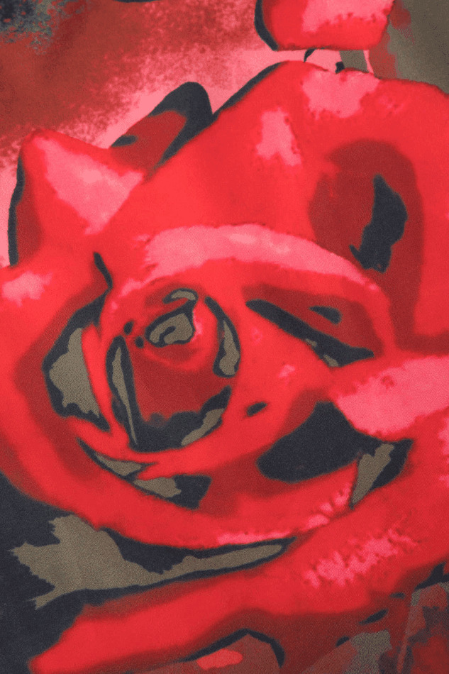 Coquette Aesthetic Rose Print Asymmetric T-Shirt and Midi Skirt Set Coquette Aesthetic Rose Print Asymmetric T-Shirt and Midi Skirt Set