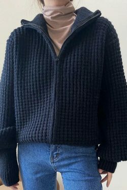 Coquette Aesthetic Solid Double Zip Turtleneck Sweater