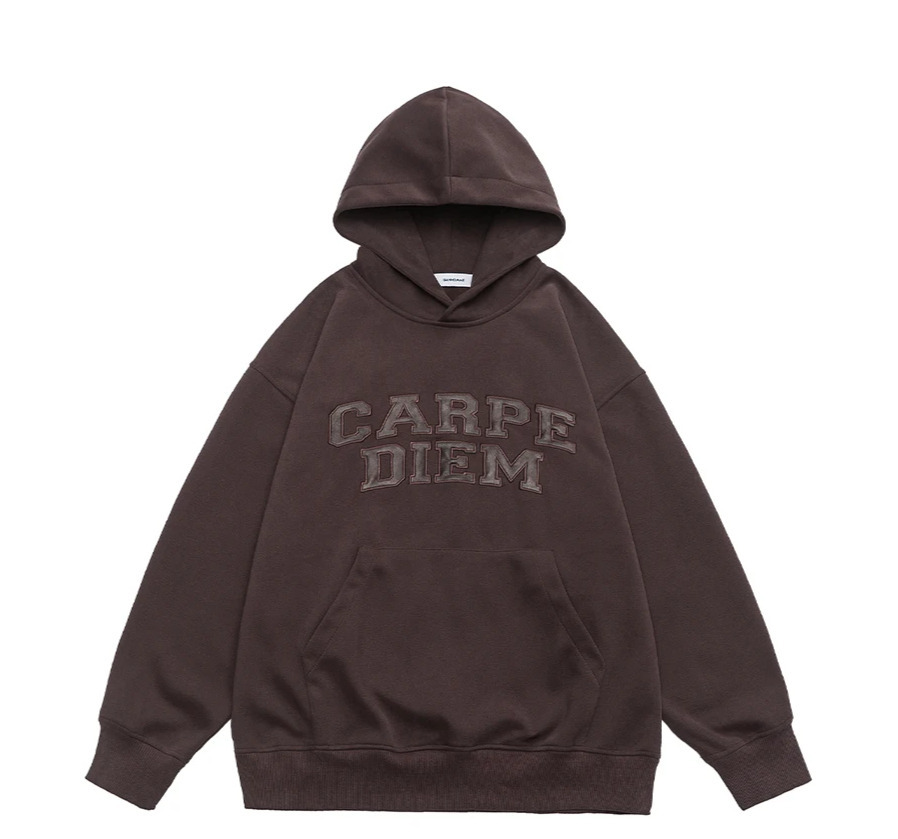 Coquette Aesthetic Y2K Hoodie with 'Carpe Diem' Applique - Women's Fashion