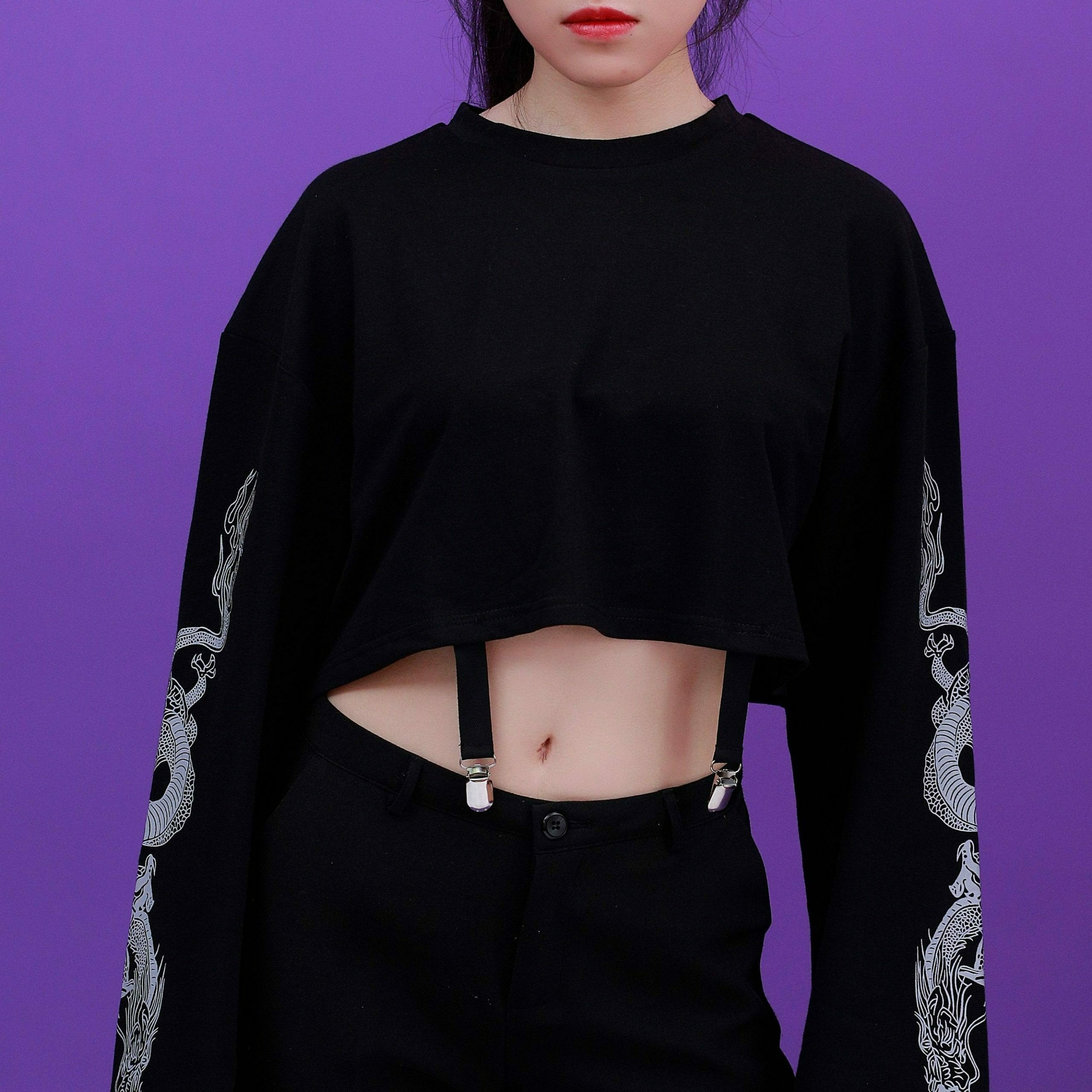Dragon Cropped Long Sleeve: Y2K Fashion Aesthetic Top - Coquette Grunge Pastel Goth