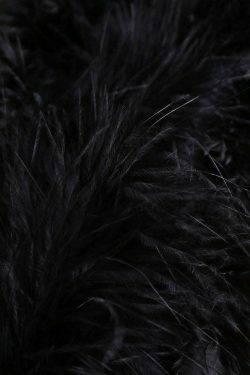 Gothic Feather Crop Cami Top in Black - Y2K Fashion Aesthetic for Women