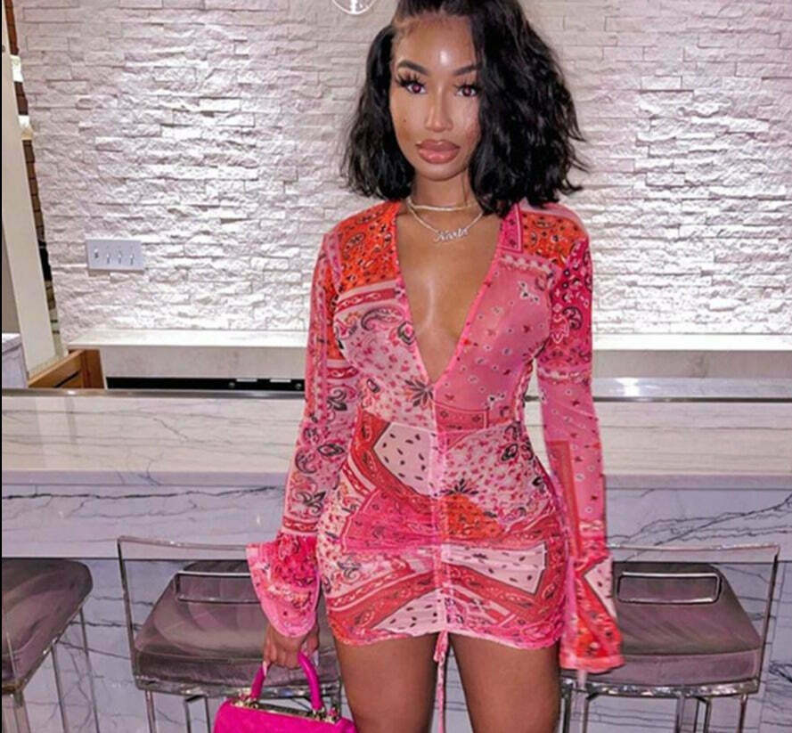 Pink & Red Paisley Mesh Dress - Y2K Fashion Statement with Coquette Aesthetic Twist