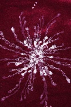 Velvet Print Asymmetric Slit Hem Cami Top - Y2K Aesthetic Fashion - Coquette Grunge Outfit