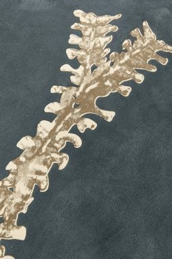 Velvet Skeleton Graphic Zip Up Hoodie - Y2K Aesthetic Coquette Fashion for Women