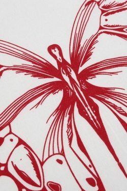 Y2K Aesthetic Butterfly Print White Crop Top for Women - Coquette Style Grunge Fashion