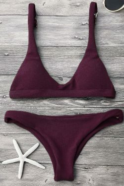 Y2K Aesthetic Low Waisted Padded Scoop Bikini Set for Niche Women Fashion