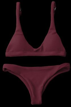 Y2K Aesthetic Low Waisted Padded Scoop Bikini Set for Niche Women Fashion