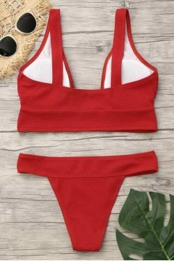 Y2K Aesthetic Plunge Neck Low Waist Bikini - Coquette & Grunge Style for Women