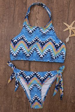 Y2K Aesthetic Printed Flower High Neck Halter Striped Bikini - Women's Fashion