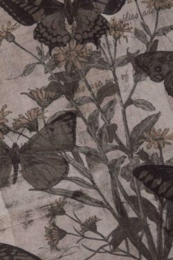 Y2K Butterfly Print Lace Strap Cami Top - Coquette Aesthetic, Grunge Style, Cute Tops