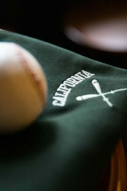 Y2K California Embroidered Polo Shirt: Coquette Grunge Aesthetic Cargo Skirt Goth Fashion