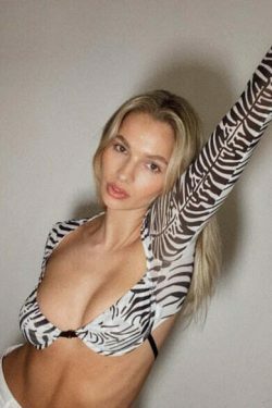 Y2K Sexy Zebra Print Gothic Crop Top - Coquette Aesthetic for Women's Fashion