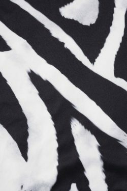 Zebra-Print Coquette Aesthetic Crop Top & Cargo Skirt Set