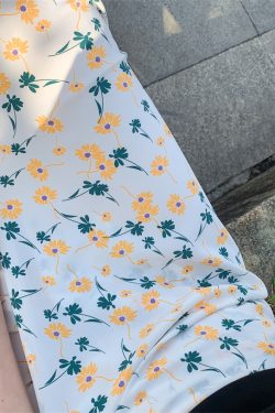 2025 Summer A-Line Floral Beach Skirt for Curvy Hips & Thighs - Irregular Long Design, Perfect for Boho and Y2K Styles