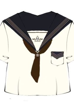 Camellia Cloud Sailor Girl JK Uniform Set - High School Sailor Suit with Long and Short Sleeve Tops, Classic Style, Y2K Fashion
