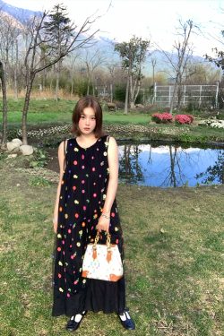 Cloud Flower Butterfly Retro Sheer Mesh Cover Dress - Women's Summer Loose A-Line Long Dress in Vintage Style