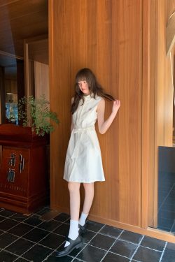 Color-Block Embroidered Sleeveless Shirt Dress for Women - Summer A-Line Waist-Cinching Style, Trendy French Design