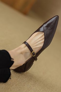 Elegant Retro Chunky Heel Mary Jane Shoes for Women - Pointed Toe One-Strap Flats for Commuting, Vintage Style Footwear
