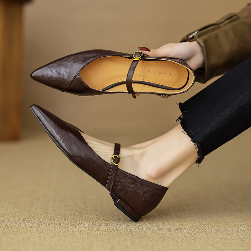 Elegant Retro Chunky Heel Mary Jane Shoes for Women - Pointed Toe One-Strap Flats for Commuting, Vintage Style Footwear Elegant Retro Chunky Heel Mary Jane Shoes for Women - Pointed Toe One-Strap Flats for Commuting, Vintage Style Footwear