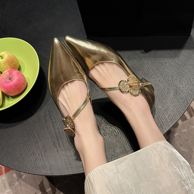 Elegant Silver Genuine Leather Pointed Toe Low-Heeled Mary Jane Flats - Italian Style, Classic Fashion Footwear Elegant Silver Genuine Leather Pointed Toe Low-Heeled Mary Jane Flats - Italian Style, Classic Fashion Footwear