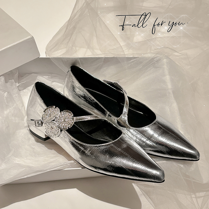 Elegant Silver Genuine Leather Pointed Toe Low-Heeled Mary Jane Flats - Italian Style, Classic Fashion Footwear Elegant Silver Genuine Leather Pointed Toe Low-Heeled Mary Jane Flats - Italian Style, Classic Fashion Footwear