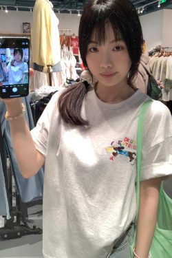 Embroidered Cartoon Heavyweight Cotton Short Sleeve T-Shirt for Women - Summer 2025 Y2K Gray Age-Reducing Top