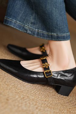 Exquisite Italian Leather Mary Janes for Women - Chunky Mid-Heel Small Heel Shoes, Elegant French Style