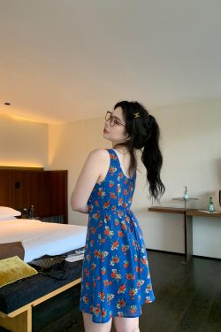 Florence Blue Vintage Floral Sleeveless Dress with V-Neck and Organza Waist-Defined Design - Perfect for 90s and Y2K Style Events