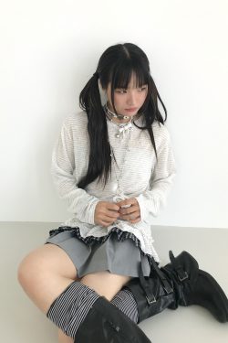 Freshwater Micro Long Lace Embroidered Sheer Striped Casual Layered Round Neck Loose Long Sleeve Top