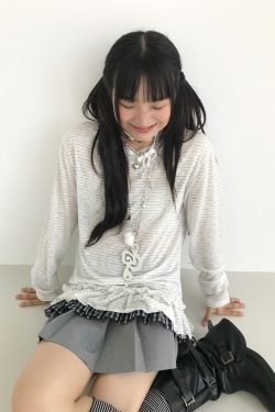 Freshwater Micro Long Lace Embroidered Sheer Striped Casual Layered Round Neck Loose Long Sleeve Top