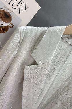 Gray Acetate Thin Blazer for Women - 2025 Summer Fashion, High-End Casual Commuting Versatile Suit