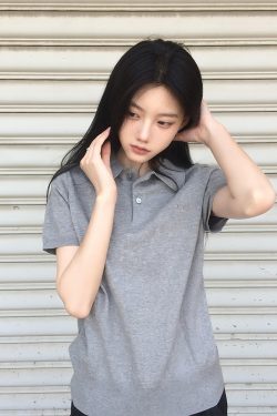 Gray Knitted Short-Sleeve Women's Polo T-Shirt - College Style Slim Fit Summer Top for Versatile Casual Looks