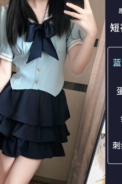 Gray Women's Summer JK Uniform Set with Puff Skirt and Cake Skirt - Trendy 2024 College Style